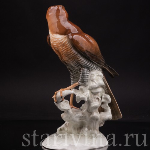Статуэтка птицы из фарфора Ястреб-перепелятник, Hutschenreuther, Германия, 1970 гг.