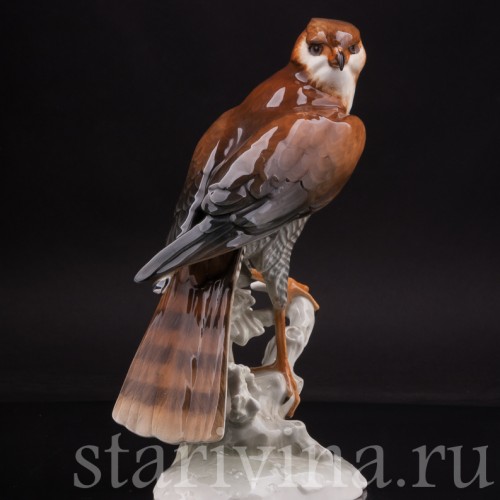 Статуэтка птицы из фарфора Ястреб-перепелятник, Hutschenreuther, Германия, 1970 гг.