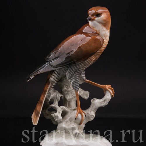 Статуэтка птицы из фарфора Ястреб-перепелятник, Hutschenreuther, Германия, 1970 гг.
