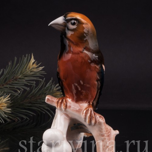 Фигурка птицы из фарфора Дубонос, Goebel, Германия, 1960-70 гг.