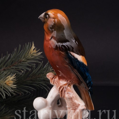 Фигурка птицы из фарфора Дубонос, Goebel, Германия, 1960-70 гг.