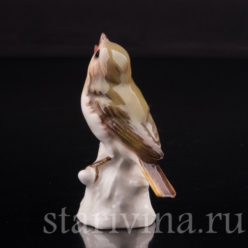 Зеленушка обыкновенная, миниатюра, Goebel, Германия