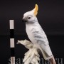 Статуэтка птицы из фарфора Попугай Какаду, миниатюра, Goebel, Германия, до 1990 г.