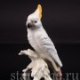 Статуэтка птицы из фарфора Попугай Какаду, миниатюра, Goebel, Германия, до 1990 г.