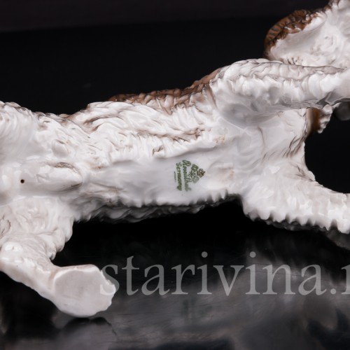 Дратхаар, Rosenthal, Германия, сер 20 в