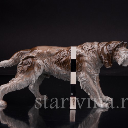 Дратхаар, Rosenthal, Германия, сер 20 в