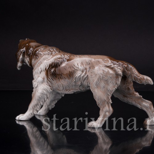 Дратхаар, Rosenthal, Германия, сер 20 в