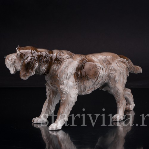 Дратхаар, Rosenthal, Германия, сер 20 в