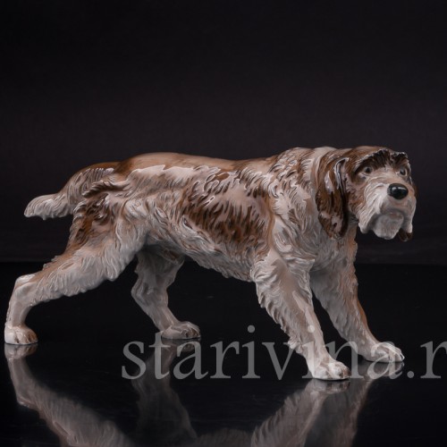 Дратхаар, Rosenthal, Германия, сер 20 в