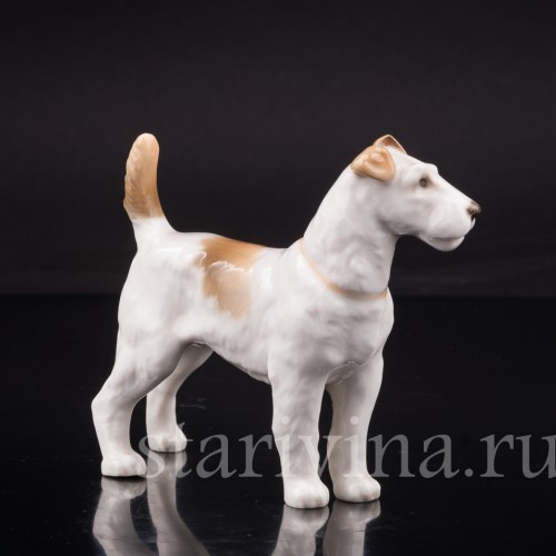 Фокстерьер, Hutschenreuther, Германия, 1955-68 гг