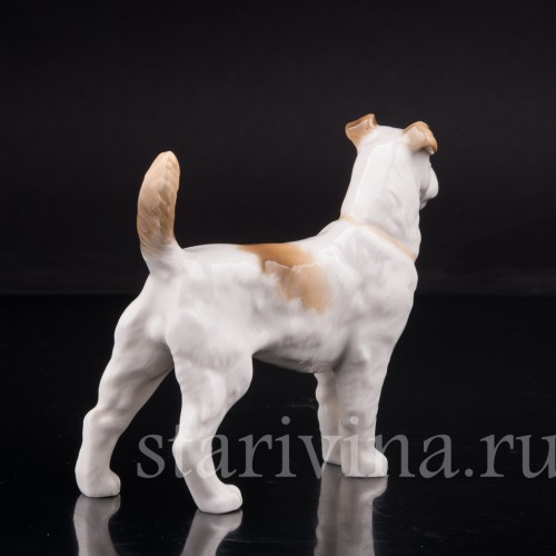 Фокстерьер, Hutschenreuther, Германия, 1955-68 гг