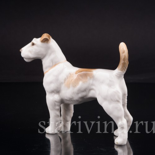 Фокстерьер, Hutschenreuther, Германия, 1955-68 гг