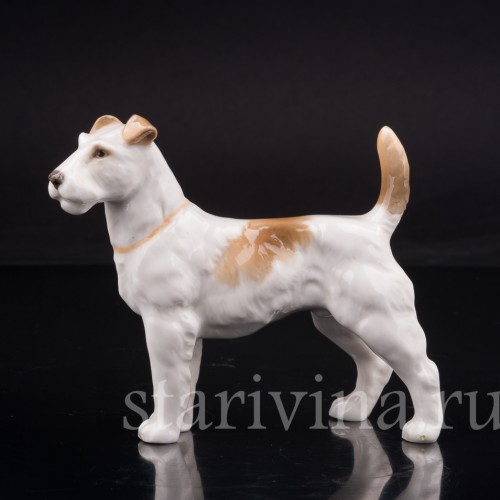 Фокстерьер, Hutschenreuther, Германия, 1955-68 гг