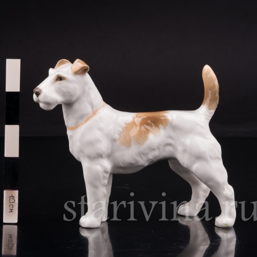 Фокстерьер, Hutschenreuther, Германия, 1955-68 гг