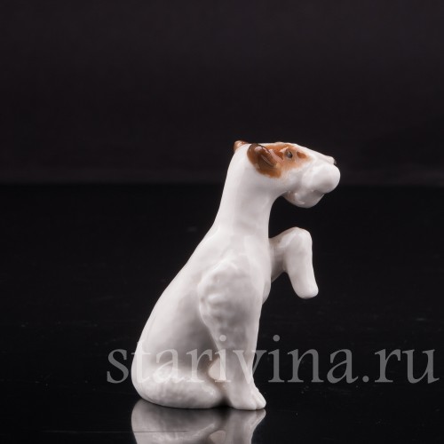 Сидящий фокстерьер, миниатюра, Hutschenreuther, Германия, 1955-68 гг