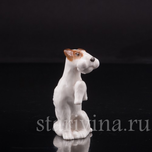 Сидящий фокстерьер, миниатюра, Hutschenreuther, Германия, 1955-68 гг