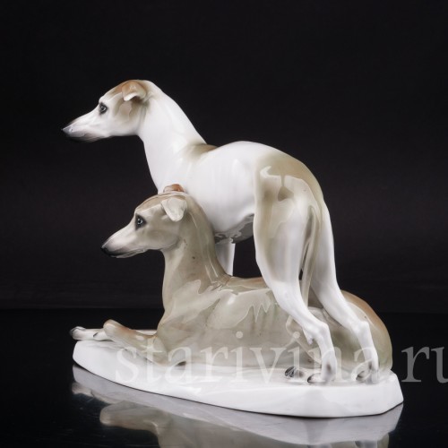 Два уиппета, Sitzendorf, Германия