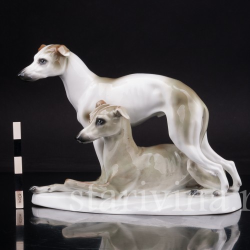 Два уиппета, Sitzendorf, Германия