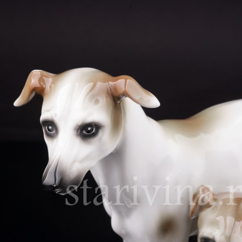 Два уиппета, Sitzendorf, Германия