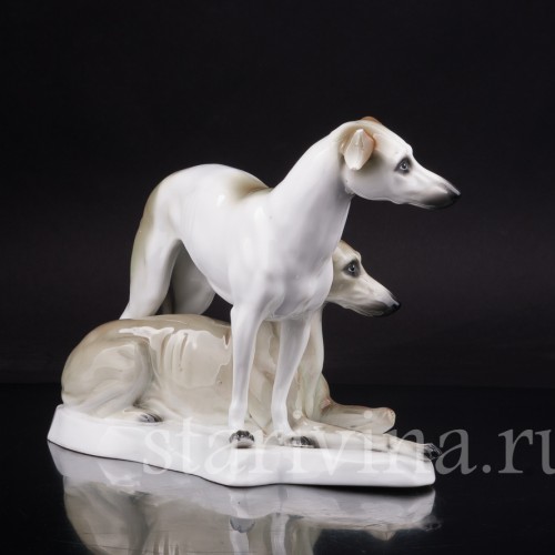 Два уиппета, Sitzendorf, Германия