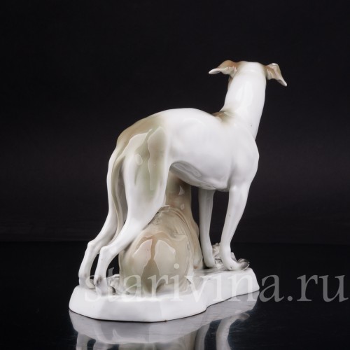 Два уиппета, Sitzendorf, Германия