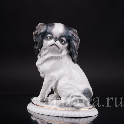 Фарфоровая статуэтка собаки Японский хин, Hertwig & Co, Германия, 1920-30 гг.