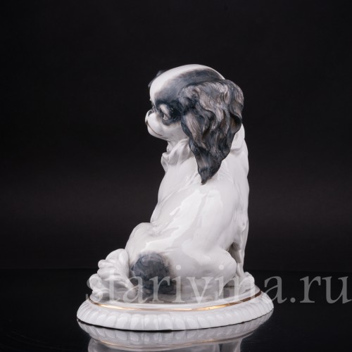 Фарфоровая статуэтка собаки Японский хин, Hertwig & Co, Германия, 1920-30 гг.