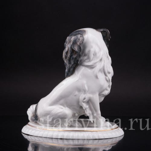 Фарфоровая статуэтка собаки Японский хин, Hertwig & Co, Германия, 1920-30 гг.