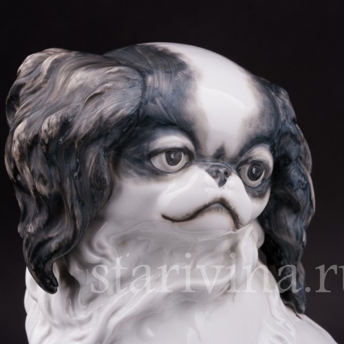 Фарфоровая статуэтка собаки Японский хин, Hertwig & Co, Германия, 1920-30 гг.