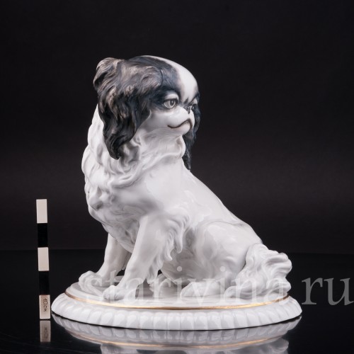 Фарфоровая статуэтка собаки Японский хин, Hertwig & Co, Германия, 1920-30 гг.