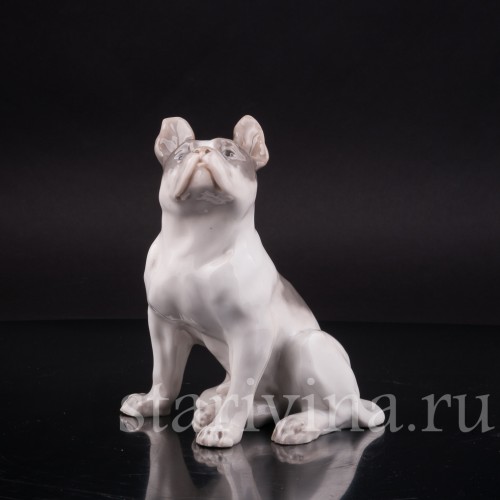 Фарфоровая статуэтка собаки Французский бульдог, Royal Copenhagen, Дания, 1923-28 гг.
