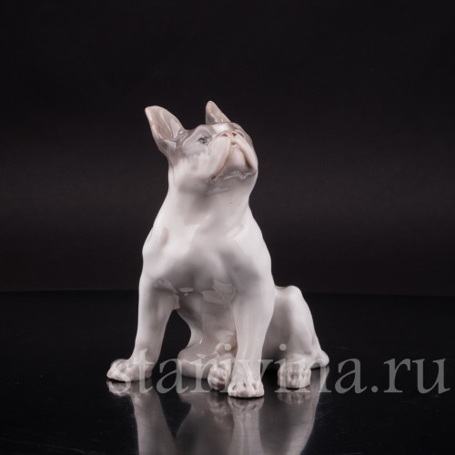 Фарфоровая статуэтка собаки Французский бульдог, Royal Copenhagen, Дания, 1923-28 гг.
