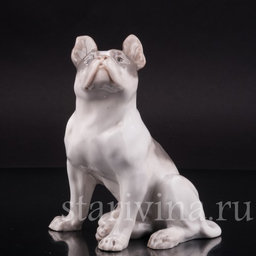 Фарфоровая статуэтка собаки Французский бульдог, Royal Copenhagen, Дания, 1923-28 гг.