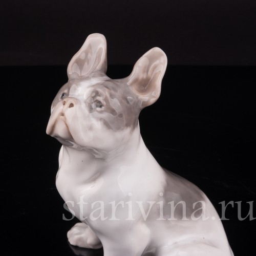 Фарфоровая статуэтка собаки Французский бульдог, Royal Copenhagen, Дания, 1923-28 гг.