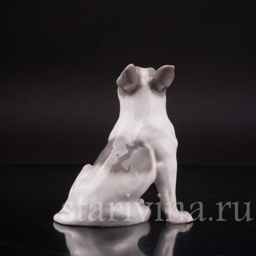 Фарфоровая статуэтка собаки Французский бульдог, Royal Copenhagen, Дания, 1923-28 гг.