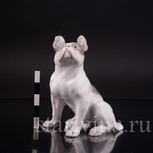 Фарфоровая статуэтка собаки Французский бульдог, Royal Copenhagen, Дания, 1923-28 гг.
