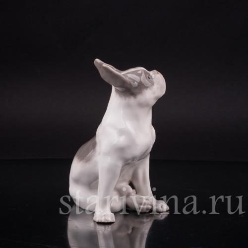 Фарфоровая статуэтка собаки Французский бульдог, Royal Copenhagen, Дания, 1923-28 гг.