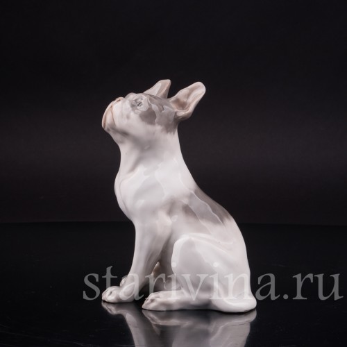 Фарфоровая статуэтка собаки Французский бульдог, Royal Copenhagen, Дания, 1923-28 гг.