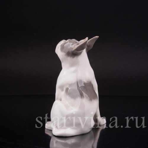 Фарфоровая статуэтка собаки Французский бульдог, Royal Copenhagen, Дания, 1923-28 гг.