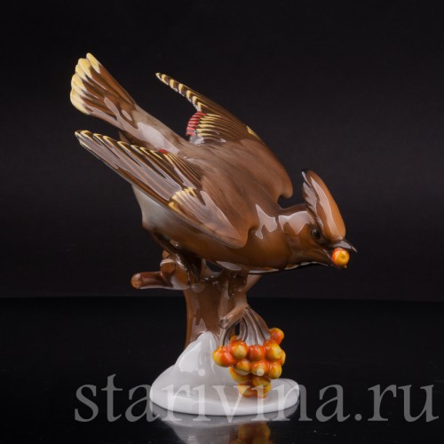 Фарфоровая статуэтка птицы Свиристель на рябине, Rosenthal, Германия, 1941 год.
