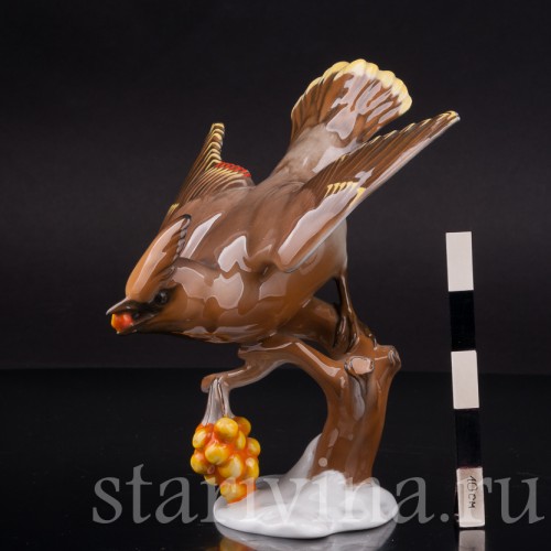Фарфоровая статуэтка птицы Свиристель на рябине, Rosenthal, Германия, 1941 год.