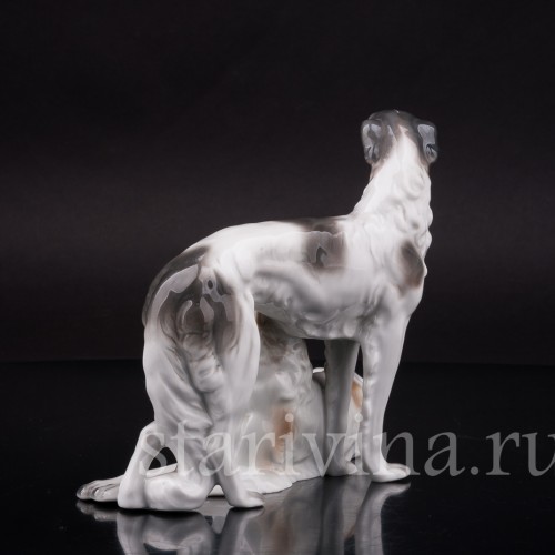 Две борзые, Unterweissbach, Германия