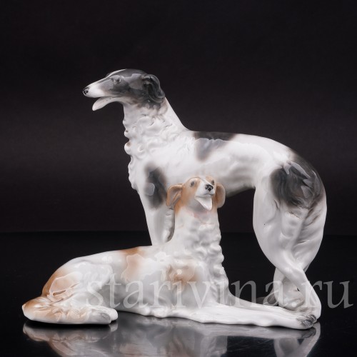 Две борзые, Unterweissbach, Германия