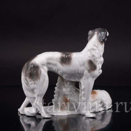 Две борзые, Unterweissbach, Германия