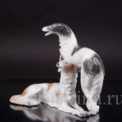 Две борзые, Unterweissbach, Германия