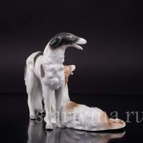 Две борзые, Unterweissbach, Германия