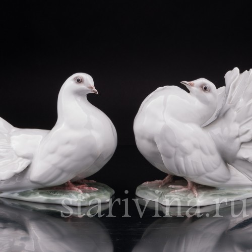 Фарфоровая статуэтка птиц Голубь и голубка, Rosenthal, Германия, сер. 20 века.