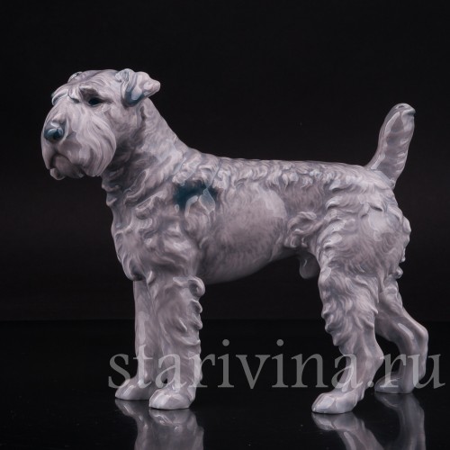 Керри-блю-терьер, Bing & Grondahl, Дания