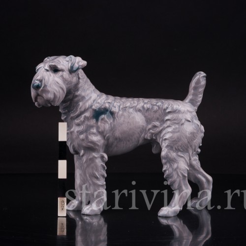 Керри-блю-терьер, Bing & Grondahl, Дания