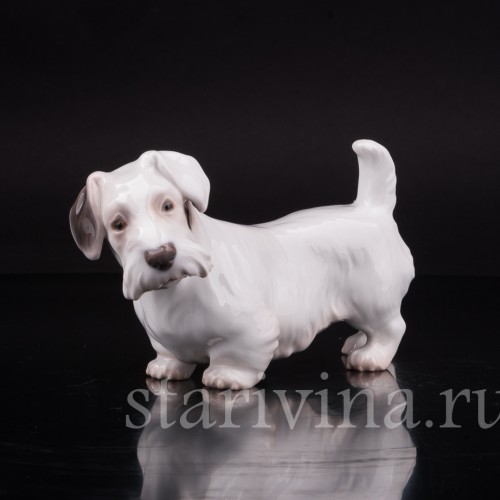 Селихем терьер, Bing & Grondahl, Дания